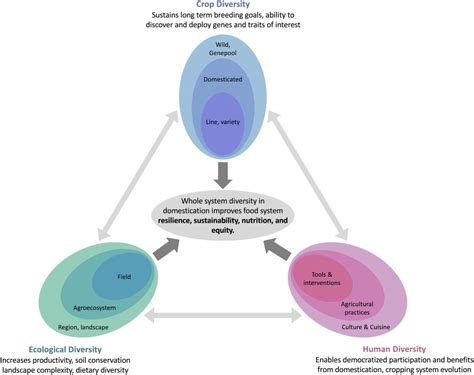 Special feature: Harnessing crop diversity | Plantae