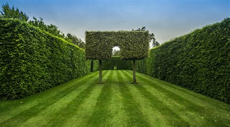 63 of The Best Landscape Hedge Ideas: #39 is Awesome!