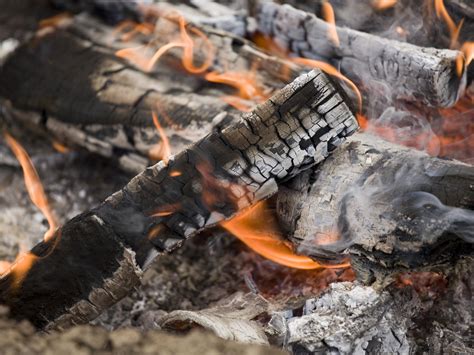 Is Burning Wood a Chemical Change? - Techiescientist