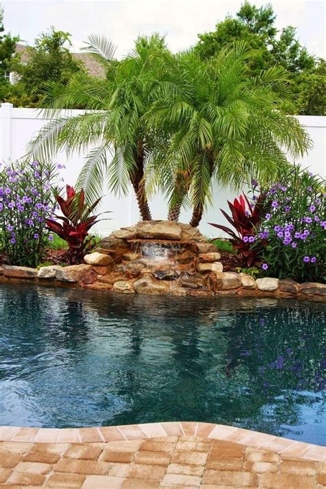 landscaping behind pool waterfall - Google Search | Tropical pool ...