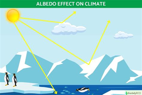 What Is the Albedo Effect on Climate? - Definition and Effects