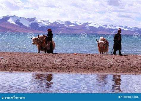 Tibet s snow mountains editorial image. Image of snow - 11272390