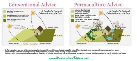 Difference Between Organic Farming and Permaculture - Permaculture Visions