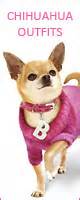 Chihuahua Clothes For Your Fashionable Little Dog - Chihuahua Clothes