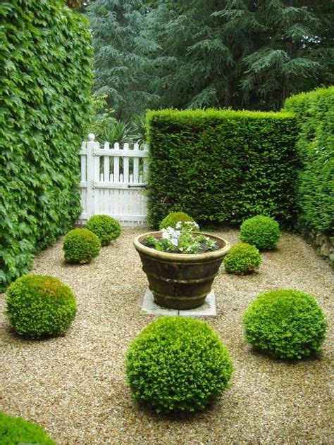 20+ Best dwarf boxwood images | landscape design, backyard landscaping ...