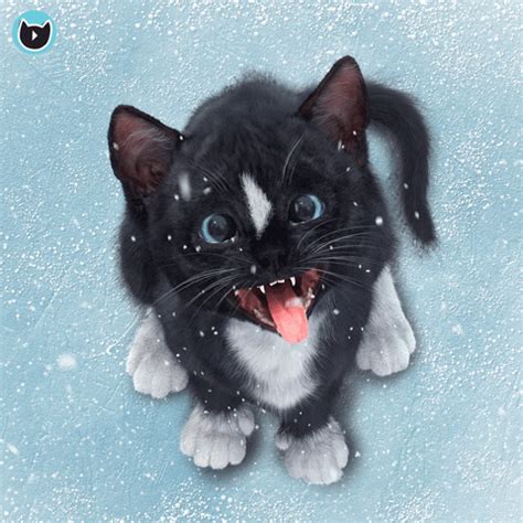 Cat Snow GIFs - Find & Share on GIPHY