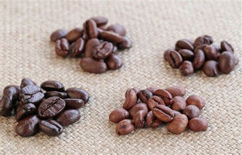 A Definitive Guide to the 4 Main Types of Coffee Beans - Atlas Coffee Club