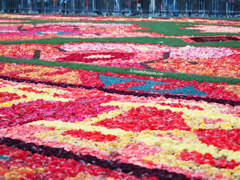 BRUSSELS FLOWER CARPET - S Marks The Spots