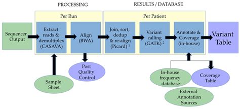 Data interpretation pipeline. Example of DNA-seq Bioinformatics ...