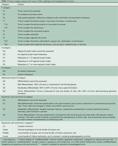 Esophageal Cancer Staging Ajcc 7th Edition