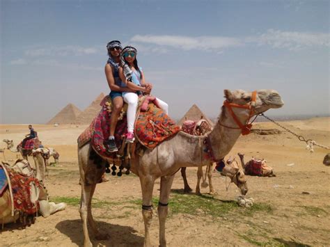 Riding Camels In Egypt | Camel Ride At Giza Pyramids - Luxor and Aswan Travel