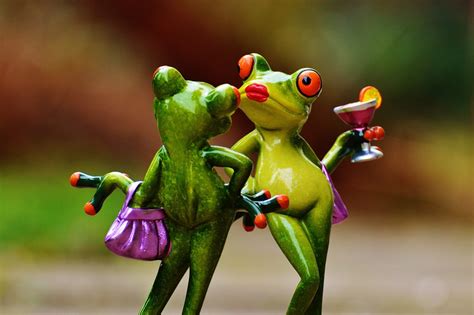 Frogs Party Cocktail · Free photo on Pixabay