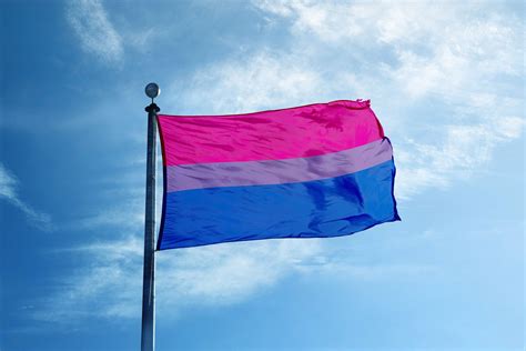 A Short Guide to Bisexuality | Bisexual, Bisexual flag, Bisexual pride