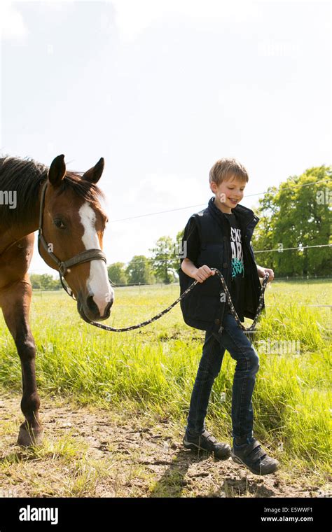 Smiling boy leading horse along dirt track Stock Photo - Alamy