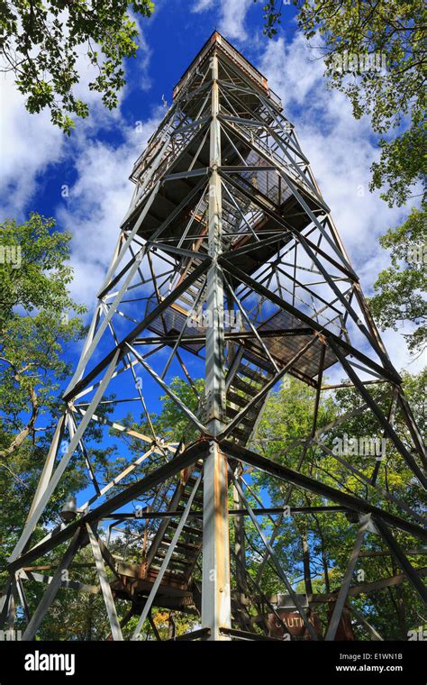 Dorset fire tower lookout hi-res stock photography and images - Alamy