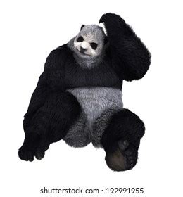 Panda Man Stock Illustration 192991955 | Shutterstock