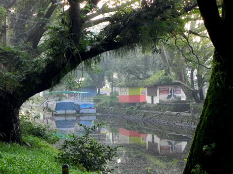 My Travels, My Life: Good Morning, Alleppey!