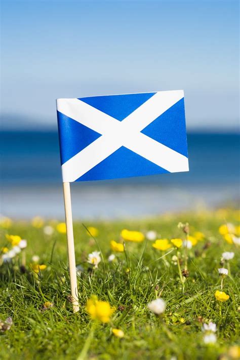 We Love Flag Of Scotland in 2022 | Flag of scotland, Pride of scotland ...