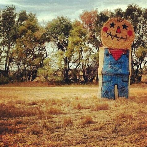 1000+ images about Hay bale art on Pinterest