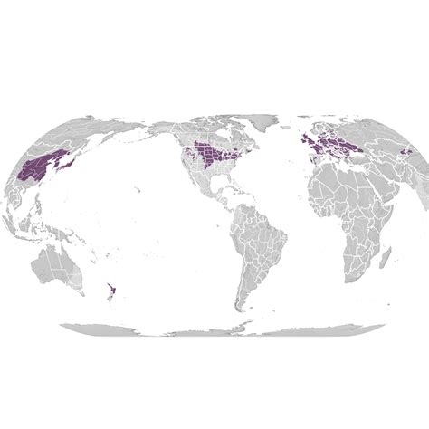 Ring-necked Pheasant - Range map - eBird Status and Trends