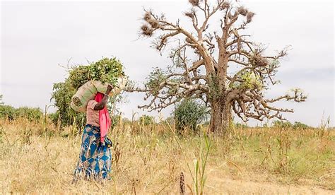 The Culture Of Niger - WorldAtlas.com