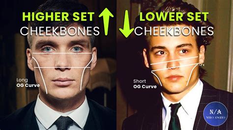 High Vs Low Set Cheekbones