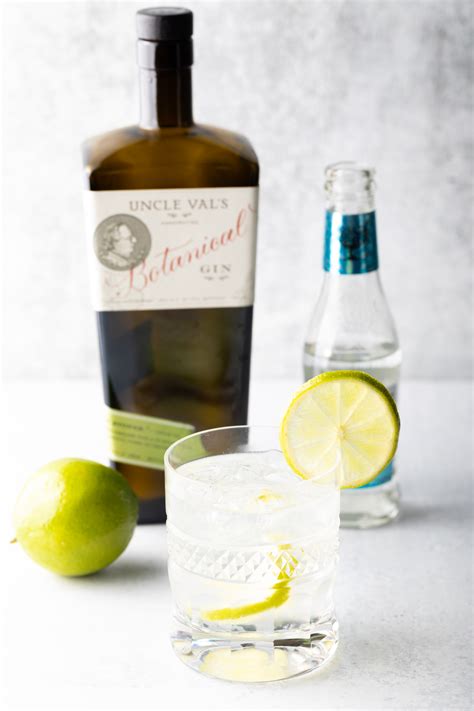 The Best Gin and Tonic Recipe + VIDEO - A Spicy Perspective