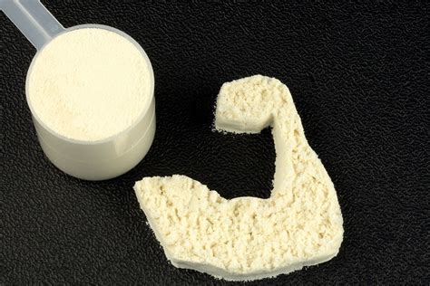 Ranking the best low carb protein powders of 2022