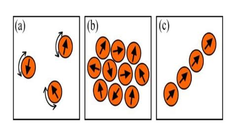 superparamagnetism and its biological applications