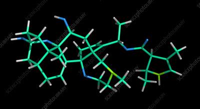 Batrachotoxin - Stock Image - C017/6308 - Science Photo Library