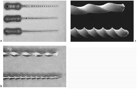 9 Endodontic Instruments | Pocket Dentistry