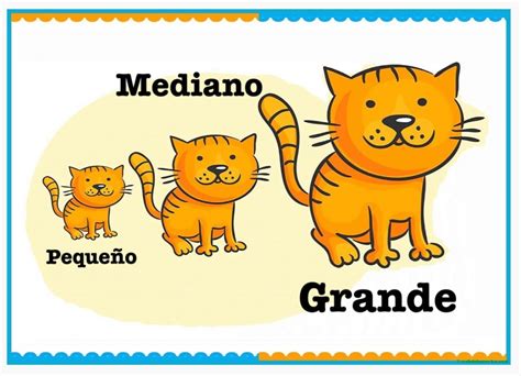 GRANDE - MEDIANO - PEQUEÑO | Mathematics - Quizizz