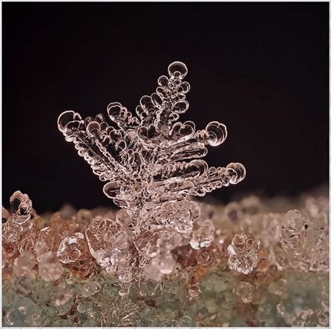 Incredible Snowflake Macro Photography BY Andrew Osokin - Design Swan