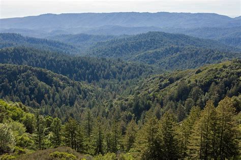 Castle Rock State Park - Sempervirens Fund