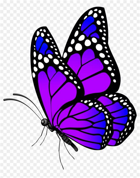 Butterfly Purple Png Clip Art Image, Transparent Png - 6521x8000(#530815) - PngFind