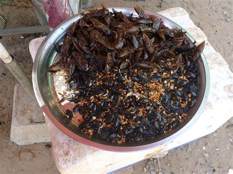 Cultural Close-Ups: Insect Snacks in Cambodia