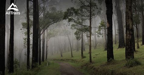 Best Trails in Dandenong Ranges National Park - Victoria, Australia ...