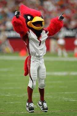 azcardinals.com | Big Red | American football clothing and equipment ...