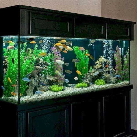 Fine Amazing Tips Your New Aquarium Decorations | Fresh water fish tank ...