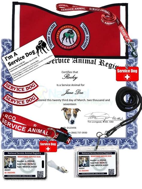 Premium Service Dog Certification | NSAR