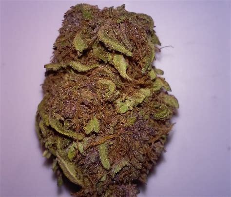 8 Strongest Indica Strains 2021 - The Lodge Cannabis