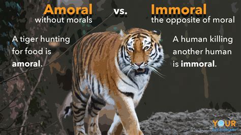 Amoral vs. Immoral: Learn What's Right and Wrong in Usage | YourDictionary