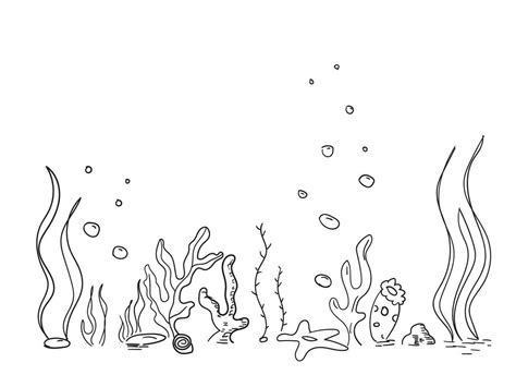 Hand drawn simple vector drawing outline. Underwater world, seaweed ...