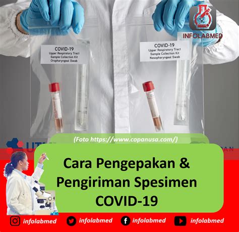 Cara Pengepakan & Pengiriman Spesimen COVID-19