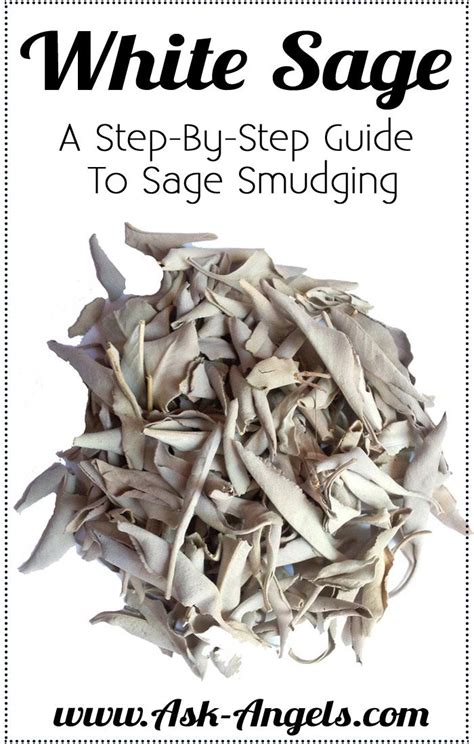 White Sage Smudging | Step guide, Benefit and Learning