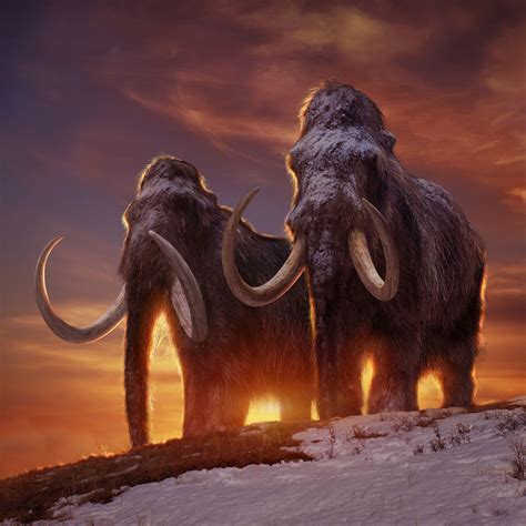 Epic Woolly Mammoth | Animales de la prehistoria, Animales ...