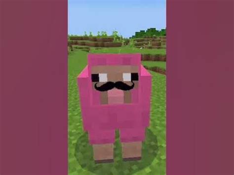 Pink Sheep Finds Hamburger. #pinksheep #shorts #explodingtnt #minecraft #memes #meme #short ...