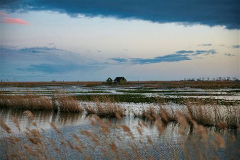 Grass In The Middle Of A Salt Marsh · Free Stock Photo