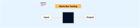 Black Box Testing | Software Testing - Scaler Topics