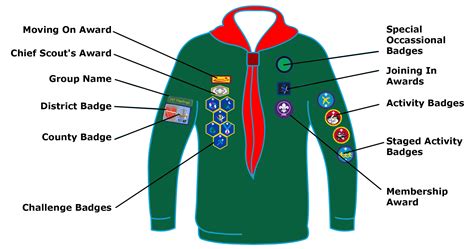 Cubs | Hastings, Rye & District Scouts